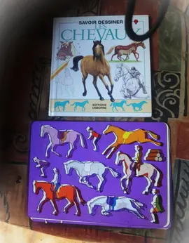 Kit (ados et adultes) pour apprendre à dessiner les chevaux