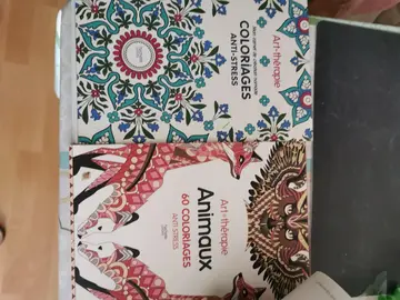 2 livres de coloriage