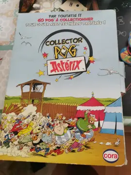 Collector Asterix