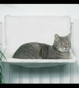 Hamac de radiateur chats