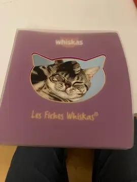 petit classeur avec fiches chat