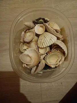 boîte de coquillages