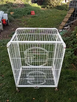 cage oiseau