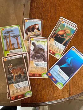 cartes animaux