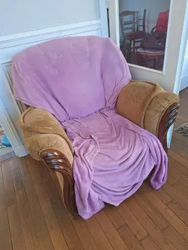 Donne fauteuil salon