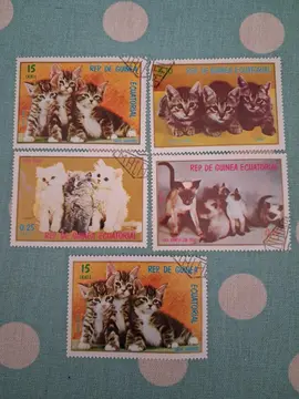 Timbres CHATS GUINEE EQUATORIALE