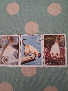 Timbres CHATS