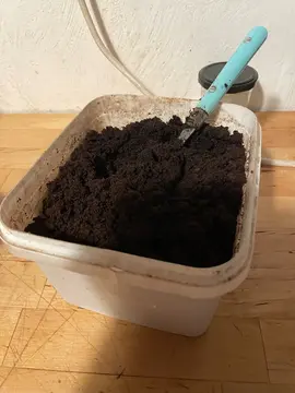 marc de café engrais