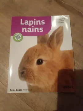 livre sur lapins nains
