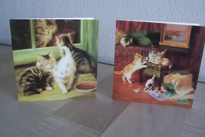 Carte postale chats