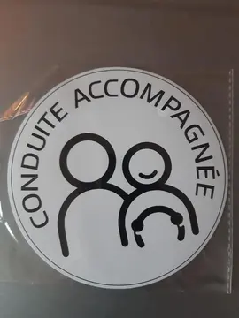 Disque magnétique Conduite accompagnée