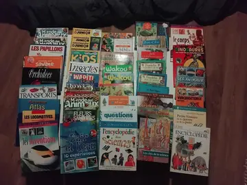 Albums, livres pour jeunes enfants