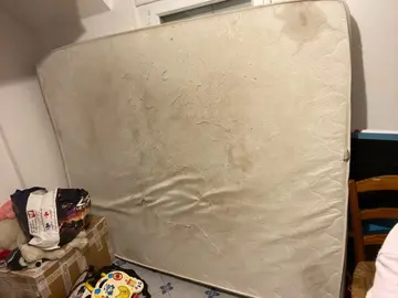 matelas taché pour animaux