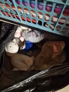 divers jeux peluches jouets et livres