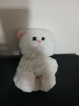 chat pattes aimantées