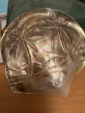 coquillage de Tahiti