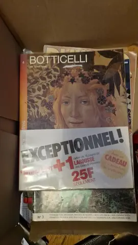 livre boticelli