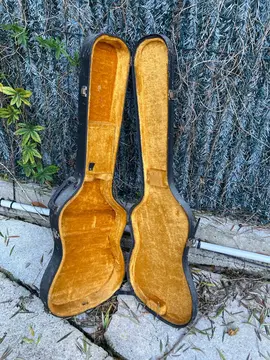 Housse guitare (à nettoyer)