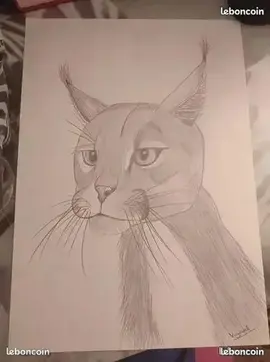 dessin noir et blanc