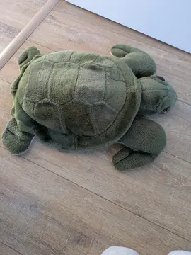 peluche tortue