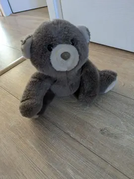 ours en peluche