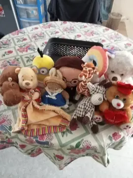 Je donne Des doudous tout neuf je suis de Caen à côté de Armand marie