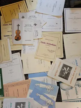 Partitions apprentissage du violon (débutant à confirmé)