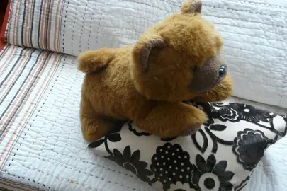 Peluche