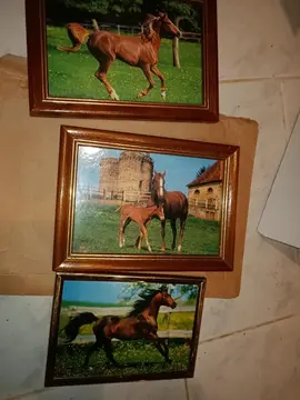 3 cadres photos cheveaux