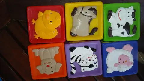 6 cubes animaux