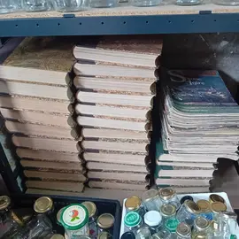 Revues la vie du rail - Urgent