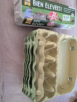 boites à oeufs vides