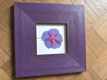 Cadre bois carré violet - un côté légèrement abîmé