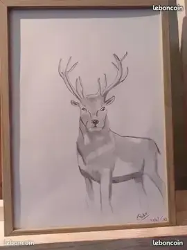 dessin cerf