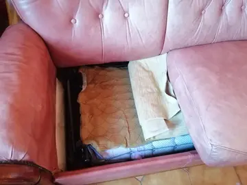 canapé convertible et un fauteuil