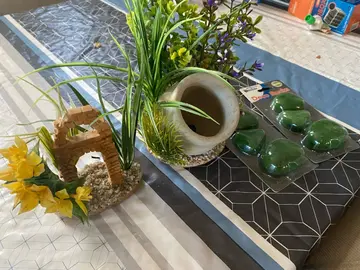 décorations pour aquarium + pierres en mousse