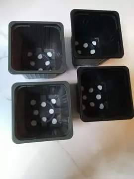 Lot de 4 petits pots de semi