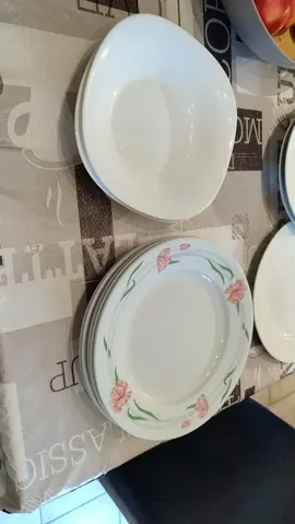 5 assiettes plates et 3 creuses