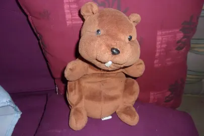 peluche marmotte