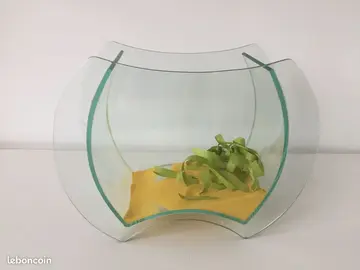 vase ou aquarium poisson rouge