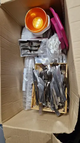 Lot de vaisselle jetable