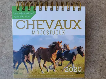 Almanach chevaux