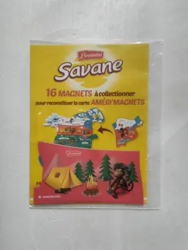 Magnet Vancouver "AMÉRI'MAGNETS"