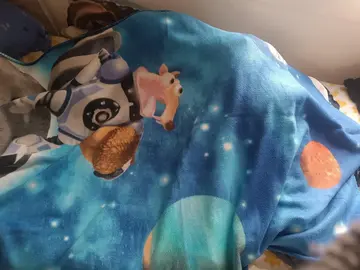 plaide l'age de glace