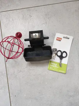 accessoires cochon d'inde