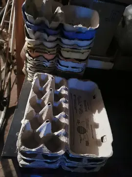 Boîtes d'oeufs