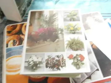 Soins et beauté des plantes