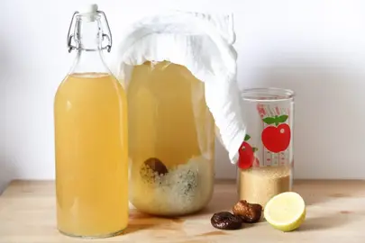 Dons de Kéfir de fruit