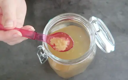 Don de grains Ginger Beer Plant (GBP)