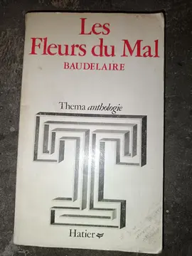 Baudelaire les fleurs du mal